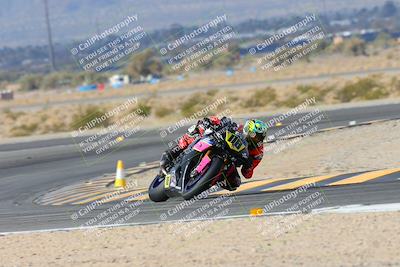 media/Jan-19-2024-Apex Assassins-CVMA Friday (Fri) [[74e94f2102]]/Racer 1/Session 2 (Turn 11)/